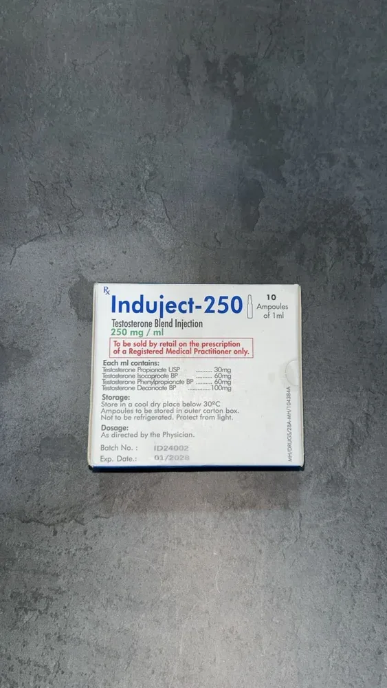 Alpha Pharma Sustanon 250 - photo 2