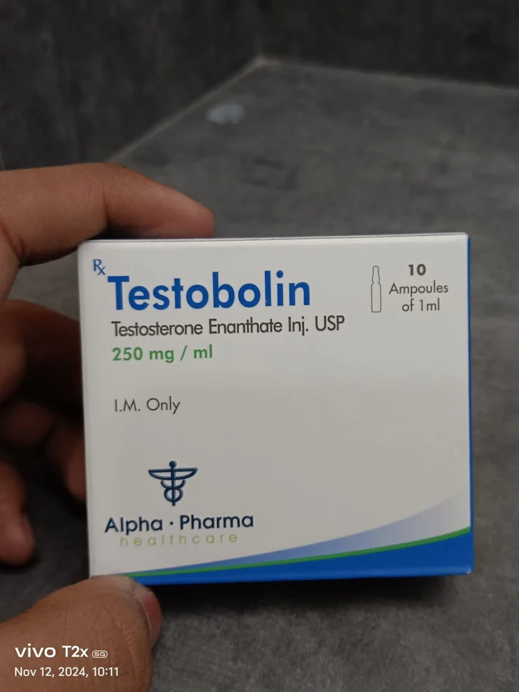 Alpha Pharma Testosterone Enanthate 250mg - photo 3
