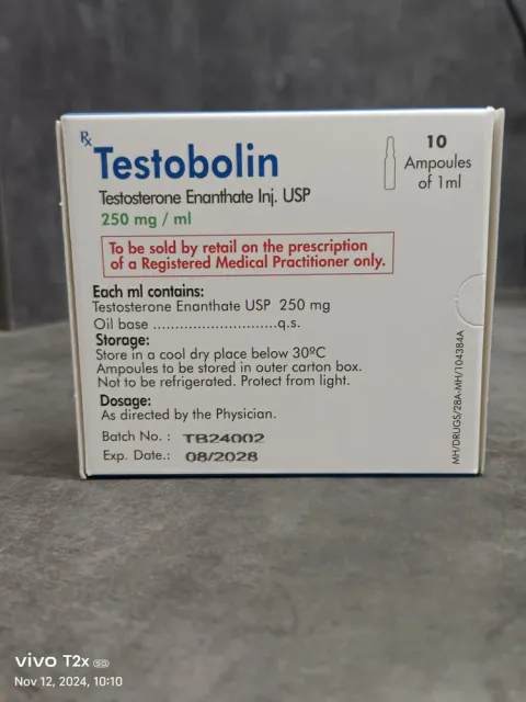 Alpha Pharma Testosterone Enanthate 250mg
