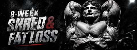 8 week get shredded plan