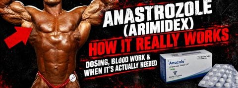 Anastrozole (Arimidex) Guide: Dosage, Results, and How to Use an AI