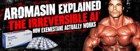 Aromasin (Exemestane) Guide: Dosage, On Cycle, and Blood Work