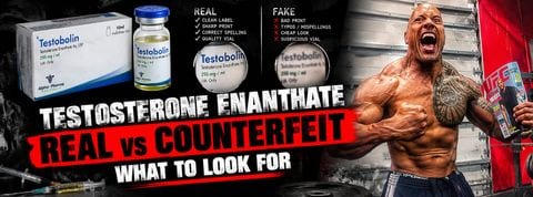 Testosterone Enanthate buying guide header — NotNatty