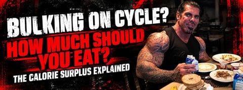 how many calories to bulk on cycle