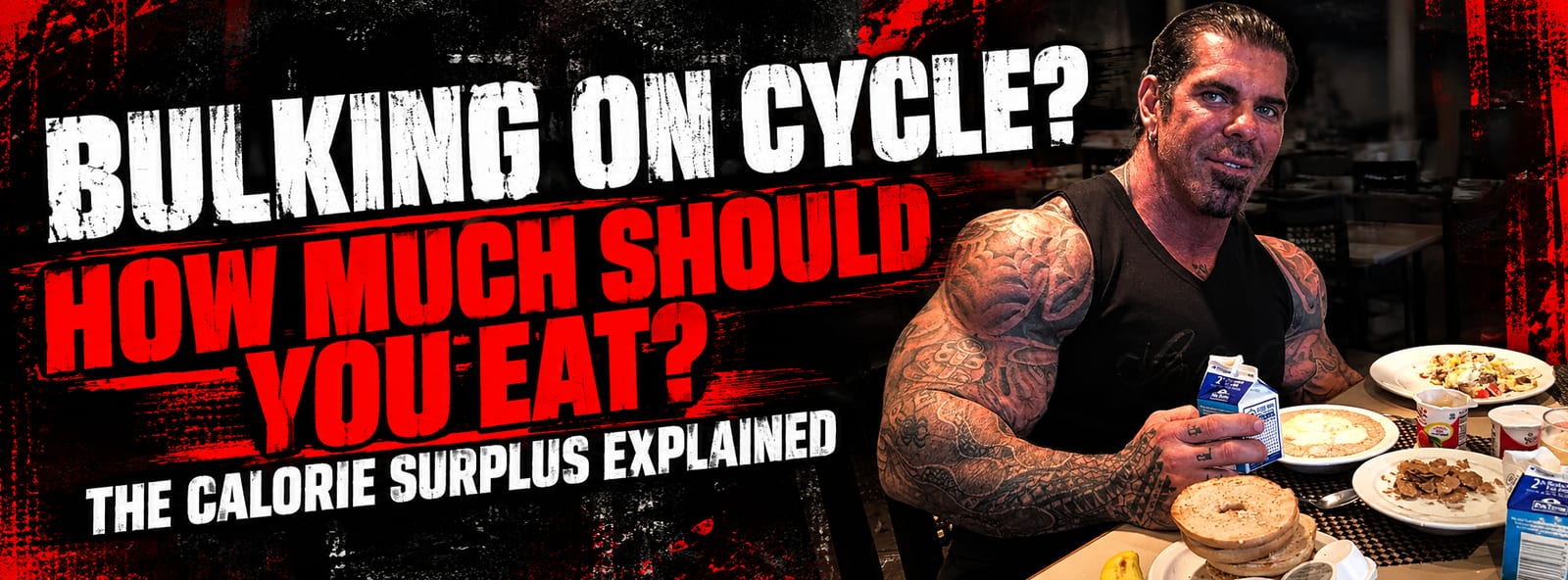 how many calories to bulk on cycle