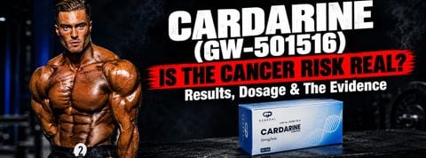 cardarine gw-501516 dosage guide - endurance fat loss and the cancer question