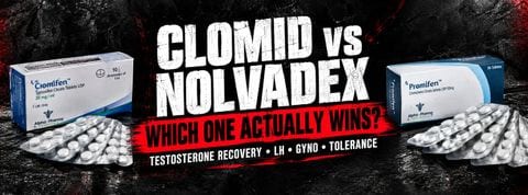 clomid vs nolvadex comparison - which serm wins pct