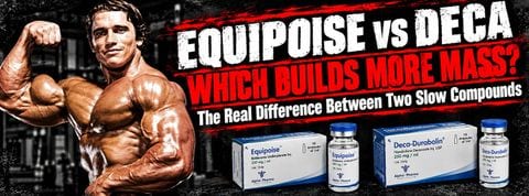 equipoise vs deca comparison