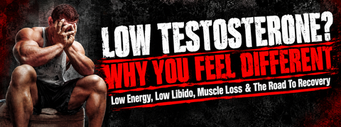 low testosterone symptoms and recovery - causes diagnosis and how testosterone levels bounce back