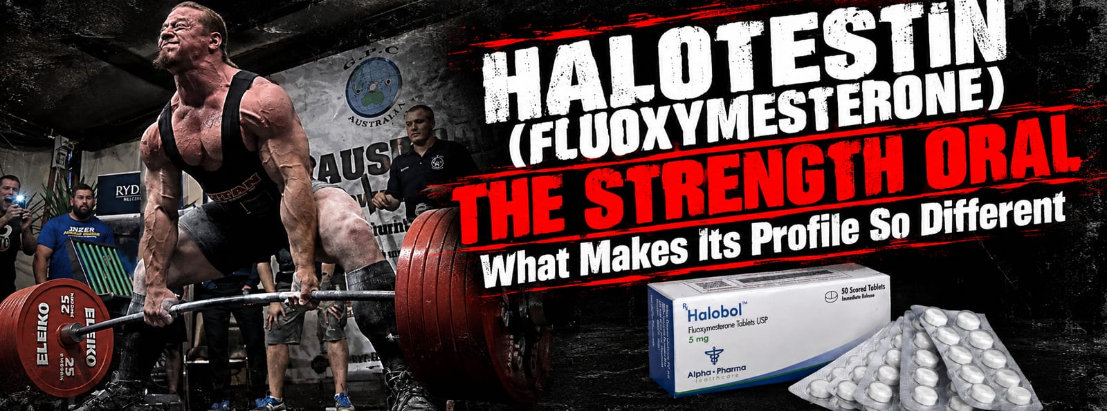 Halotestin buying guide header — NotNatty