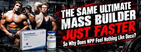 NPP (Nandrolone Phenylpropionate) Guide: Dosage and Protocol