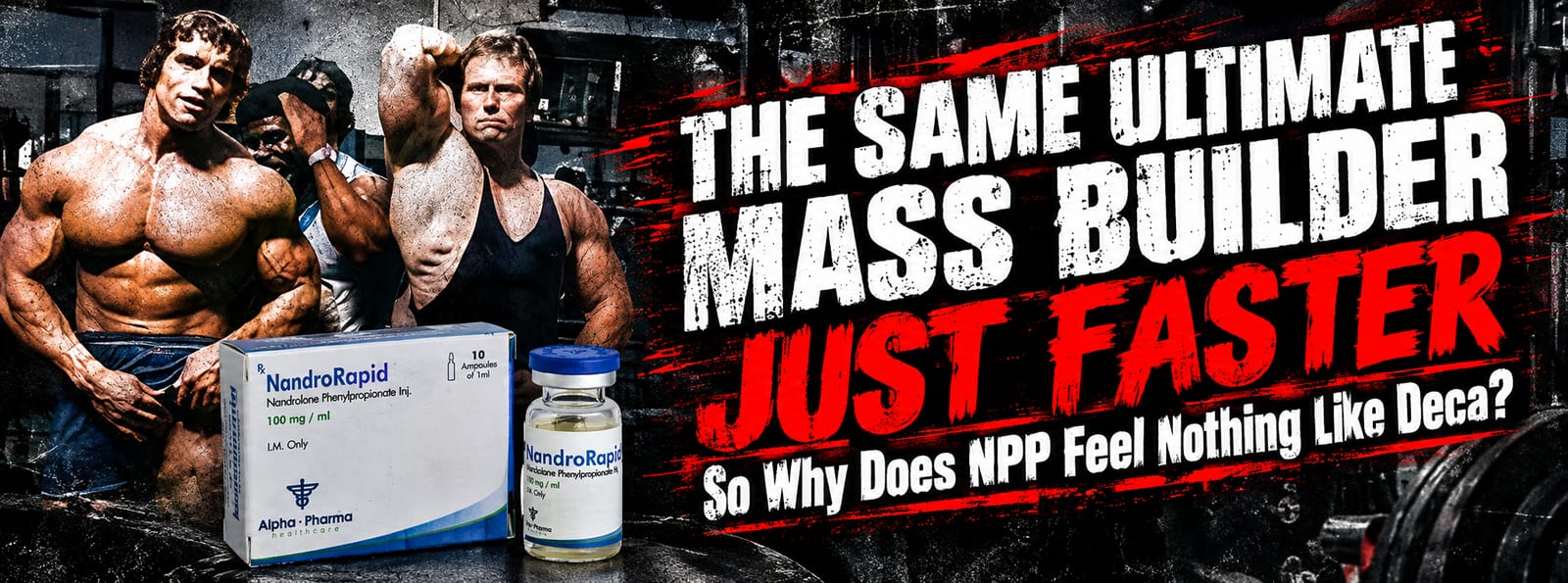 NPP (Nandrolone Phenylpropionate) Guide: Dosage and Protocol