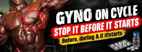 How to Prevent Gyno on Cycle (Before, During, and Emergency)