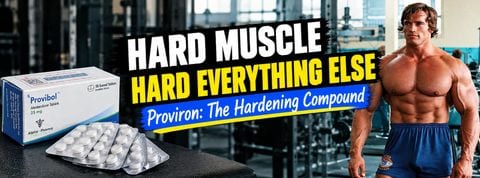 Proviron (Mesterolone) Guide: Dosage, Libido & Side Effects