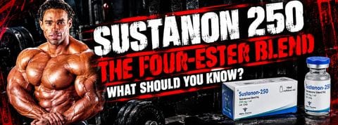 Sustanon 250 buying guide header — NotNatty