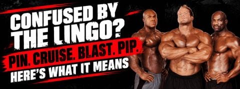 Underground Bodybuilding Slang Glossary: Every Term, Decoded