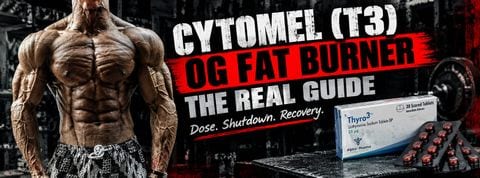 T3 (Cytomel) Guide: Dosage, Fat Loss, and Thyroid Protocol